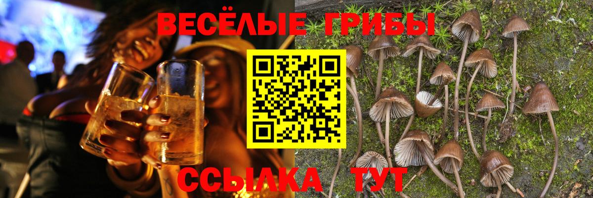 Великий Устюг  Галлюциногенные грибы Magic Shrooms  Вход с VPN 